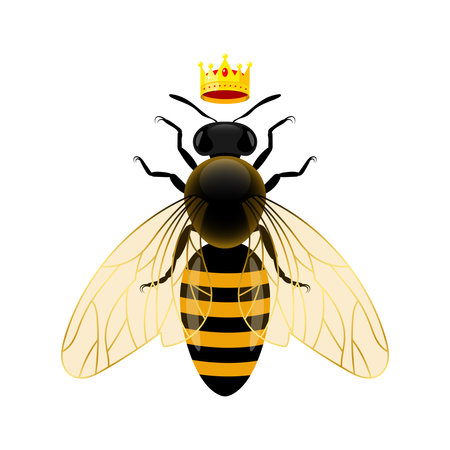 Bee with crown on a white background. Vector illustration. Eps 10.のイラスト素材