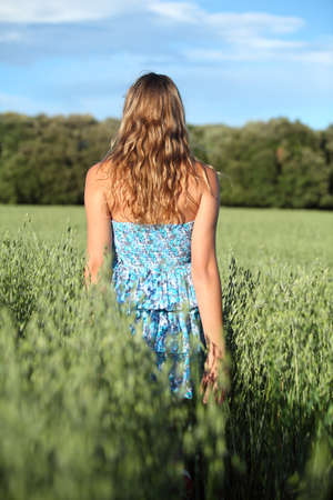 Back view of a woman walking across an oat meadow with the blue sky in the backgroundの写真素材
