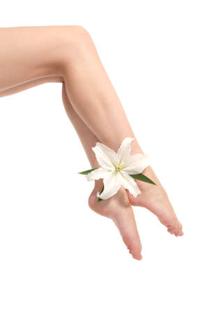 Beautiful woman legs holding a white flower isolated on a white background    の写真素材