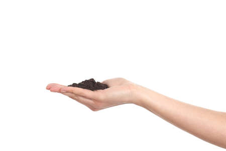 Woman cupped hand holding soil isolated on a white backgroundの写真素材