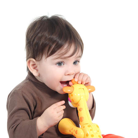Baby girl biting an animal toy isolated on a white backgroundの写真素材