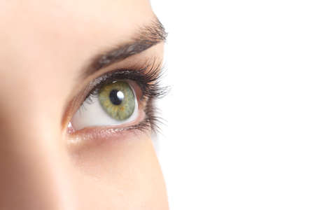 Close up of a green woman eye isolated on a white background             の写真素材