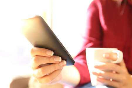 Woman hands holding a black mobile phone in a coffee break sitting in the living room with a window in the background and a warm lightの写真素材
