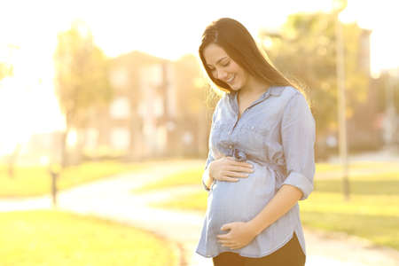 Portrait of a happy and proud pregnant woman looking at her belly in a park at sunrise with a warm back light in the backgroundの写真素材