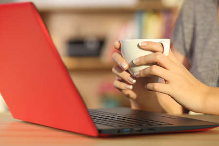Close up of a girl hands relaxing watching media content on line in a red laptop on line and holding a coffee cup in a table at homeの写真素材