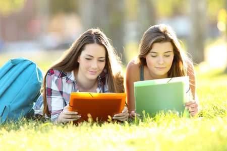 Front view of two concentrated students studying reading notes lying on the grass in a parkの写真素材