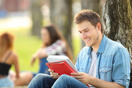 Student studying memorizing notes outdoors sitting on the grass in a parkの写真素材