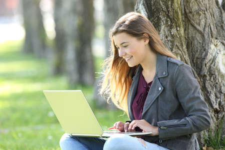 Single happy teen writing on line in a laptop sitting on the grass in a parkの写真素材