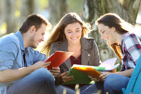 Three students learning reading notes together sitting on the grass in a parkの写真素材
