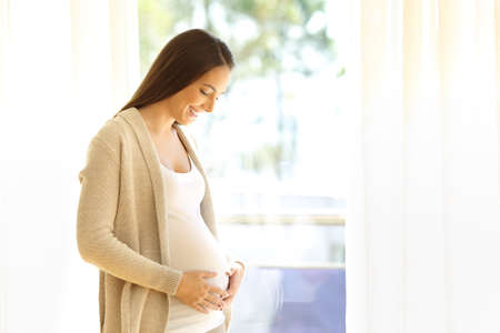 Portrait of a pregnant mother looking at her belly beside a window at homeの写真素材