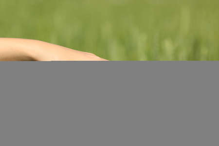 Close up portrait of a beautiful girl hand touching wheat in a green fieldの写真素材