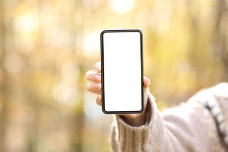 Close up of woman hand showing blank smart phone screen in autumn in a parkの写真素材