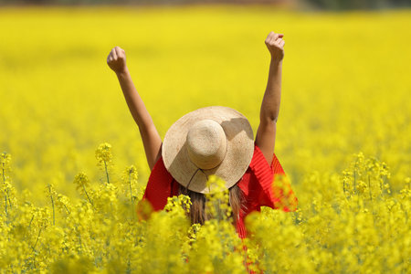 Back view of an excited woman in red wearing pamela raising arms in a yellow field in spring seasonの写真素材