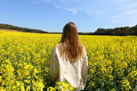 Back view portrait of a woman walking through a field of yellow flowers