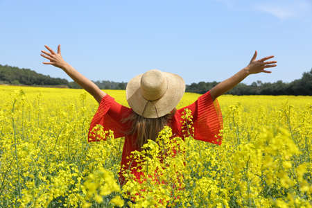 Back view of an excited woman outstretching arms celebrating spring in a field of yellow flowersの写真素材