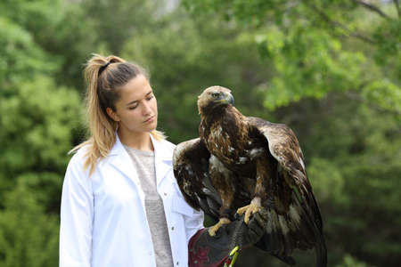 Vet examining a golden eagle outdoors