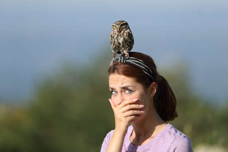 Surprised woman looking up in nature with a bird perched on her headの写真素材