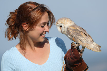 Falconer looking at owl holding it in natureの写真素材