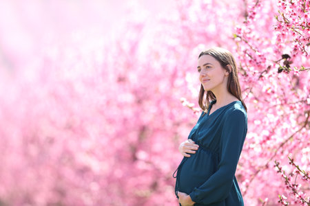 Pregnant woman contemplating views in a beautiful pink fieldの写真素材