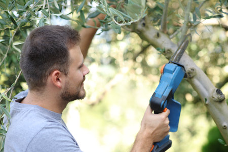 Happy man pruning tree branch with electric saw in a garden