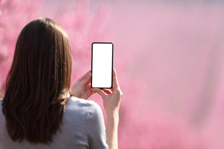 Back view of a woman using phone with blank screen in a flowered fieldの写真素材