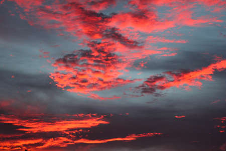 Afternoon Sky