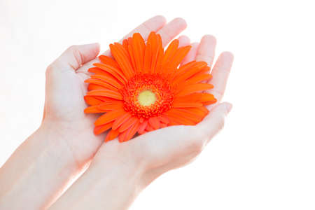 young woman holding flower in her hands, selective focusの写真素材