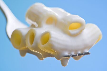 Fork fresh pasta with sauce, tomatoes and oreganoの写真素材