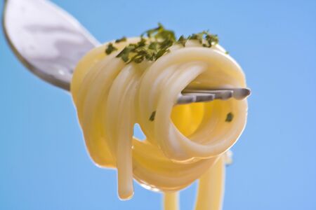 Fork fresh pasta with sauce, tomatoes and oregano