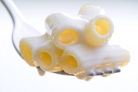 Fork fresh pasta with sauce, tomatoes and oreganoの写真素材