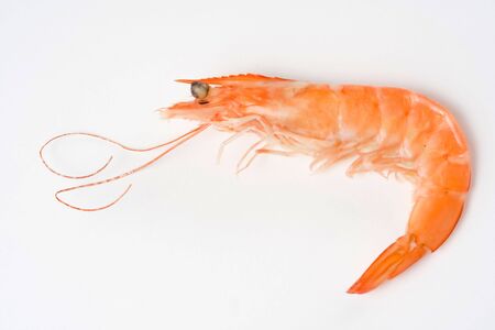 delicious fresh cooked shrimp prepared to eatの写真素材