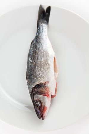 fresh seabass prepared baking