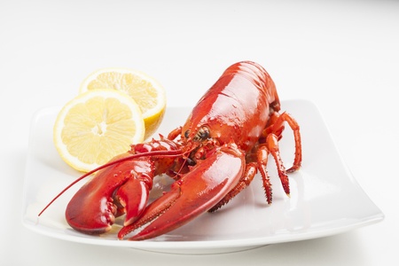 a Raw lobster isolated over white backgroundの写真素材