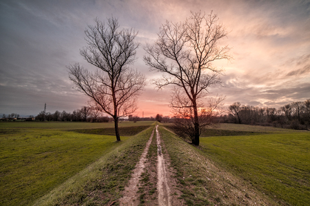 The doorの写真素材