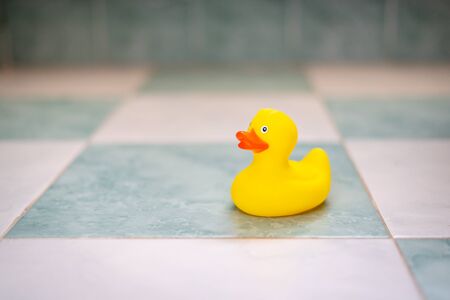 Yellow rubber duck in the bathroom floorの写真素材