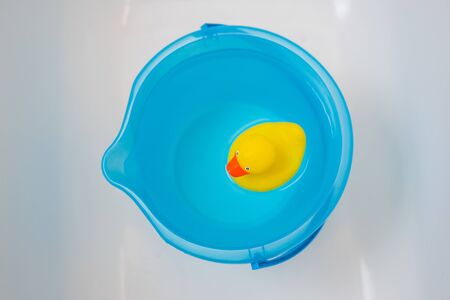 Yellow rubber duck in a blue bucket full of water