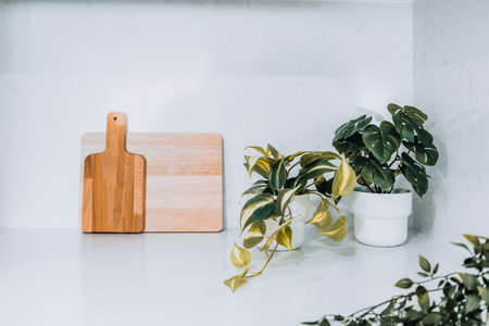 Wooden kitchen utensils in a corner of the modern and bright kitchen with white white walls and ornamental plantsの写真素材