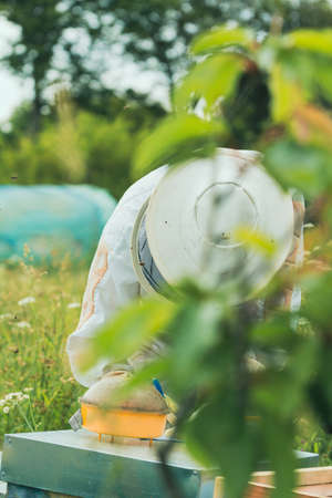 couple of beekeepers in safety suits placing wooden frames in an empty hive in a field of flowers....