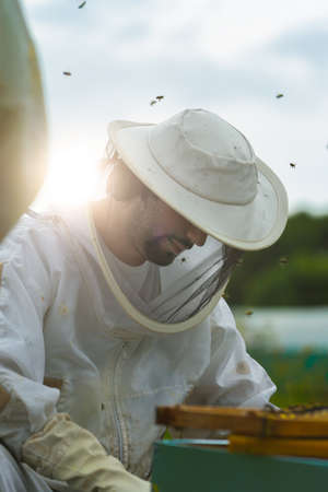 couple of beekeepers in safety suits placing wooden frames in an empty hive in a field of flowers....