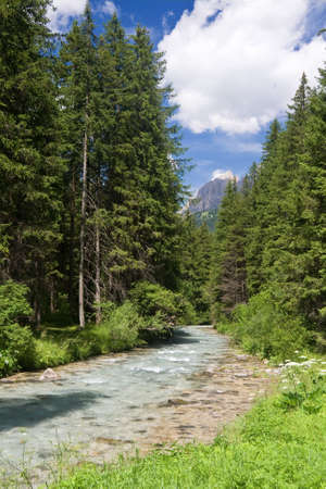summer view of Avisio stream in Val di Fassa, italian dolomitesの写真素材