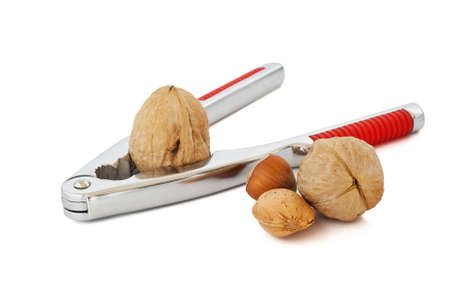 nutcracker with almond walnuts and nuts の写真素材