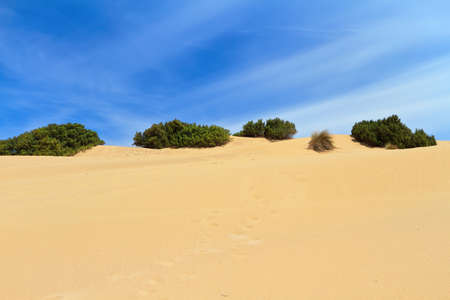 Piscinas dune in Costa Verde, southwest Sardinia, Italyの写真素材