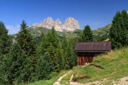 summer landscape of Fassa valley with Sassolungo mount on backgroundの写真素材