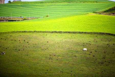 landscapeの写真素材