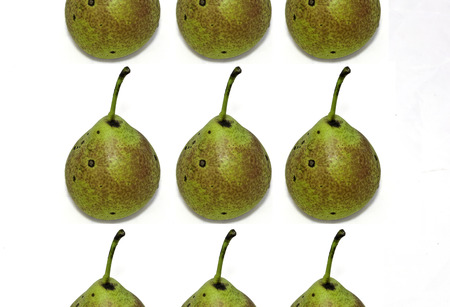 pearsの写真素材