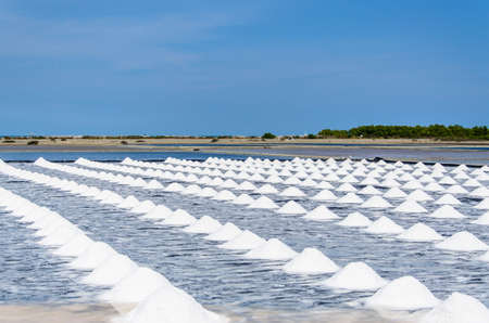 pile of salt in farm at rural area of Thailand with blue sky backgroundの写真素材