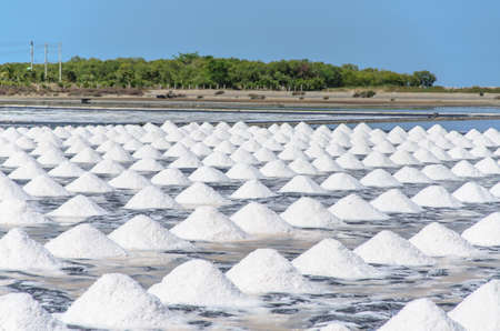 pile of salt in farm at rural area of Thailandの写真素材