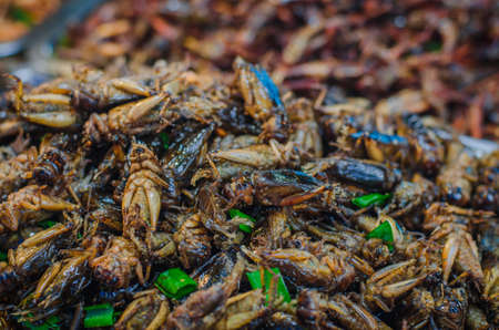 Fried crickets at street food of Thailand