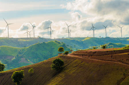 Wind turbines produce electricity with sunlight during sunset background.