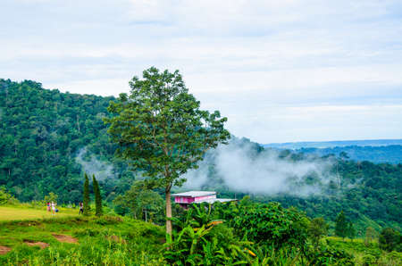 Beautiful view in Green mountain forest landscape.の写真素材